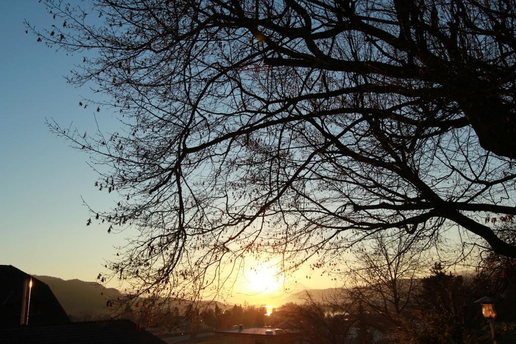 Ferienwohnungen Fiala-Koefer Portschach am Worthersee Bagian luar foto