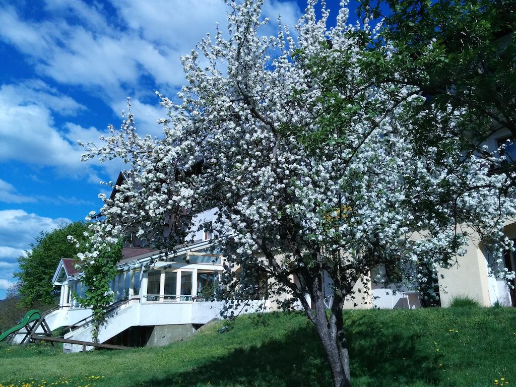 Ferienwohnungen Fiala-Koefer Portschach am Worthersee Bagian luar foto